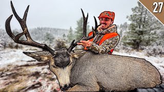 OUR BIGGEST MULE DEER Big Running BUCK DROPPED in Tracks [upl. by Valerle]