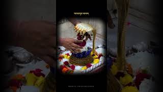 Mahadev Pooja  🕉 Omnamahshivaya 🕉 Shivshambho moryapratishthan shorts [upl. by Schnell]