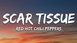 Red Hot Chili Peppers  Scar Tissue Lyrics [upl. by Yorke]