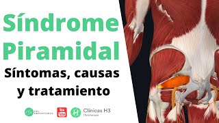 Síndrome piramidal dolor ingle ✅Tratamiento síndrome piramidal  Clínicas H3 [upl. by Sobel]