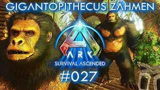 Ark Survival Ascended Gigantopithecus Tame ASA deutsch gameplay [upl. by Euell]