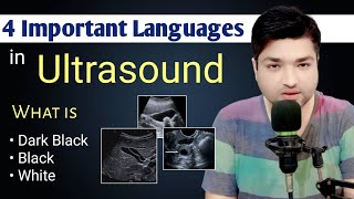 4 Important Language in Ultrasound by Dr Ali Waqar [upl. by Drofdarb276]