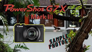 Canon G7X Mark III Photo Review 2023  Watch Before You Buy [upl. by Safko]