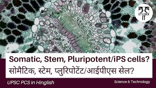 what are stem cells   types and uses of stem cell in Hindi [upl. by Corbie]