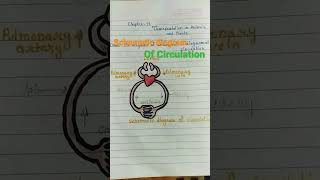 Schematic diagram of Circulation Class 7th [upl. by Shoshana]