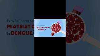 How to increase platelets in Dengue💊🏥shorts [upl. by Randal950]