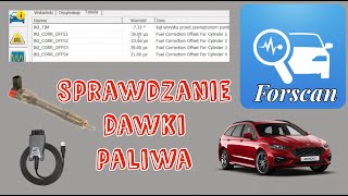 Sprawdzanie Dawki Paliwa  Forscan  Interface Vgate vLinker FS  Ford Mondeo mk5 20 Diesel [upl. by Jennee]