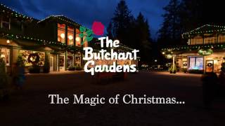 The Butchart Gardens Magic of Christmas [upl. by Cox787]