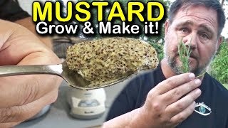 How to Make Homegrown Homemade Mustard [upl. by Stilla]