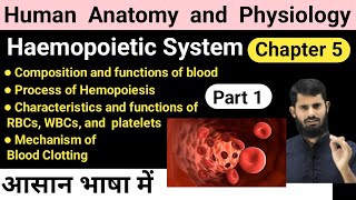 Haemopoietic system  HAP chapter 5  Process of Hemopoiesis  Mechanism of Blood Clotting [upl. by Akfir]