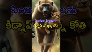 🙉దొంగ కోతి🐒 shortsfeed savelife saveanimals [upl. by Orianna]