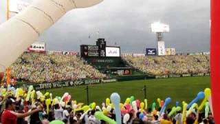 Hanshin Tigers Japan Baseball balloons [upl. by Bartram731]