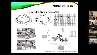 BioacousTalks The shape of sound SoundShape R package by Dr Pedro Rocha [upl. by Baum]