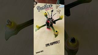 FPV RIPPER Furibee X215 Pro 2206 2600KV Brother Hobby Motors KAKUTE F4 DALPROP 5045 ROTORRIOT [upl. by Esikram]