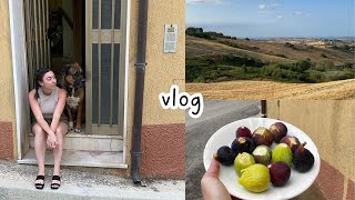 vlog in Italian la mia vacanza in Abruzzo parte 1 sub [upl. by Shields]