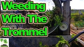 Tomato Supports Weeding with the Trommel And Potato Reveal [upl. by Ammamaria]