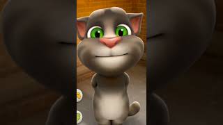 Billi ke natak ki liye ek like to banta hai [upl. by Nigle]