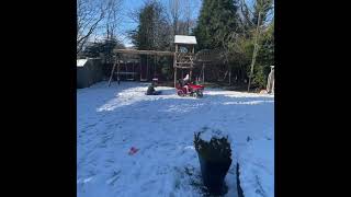 Fun with the Massey in the snow [upl. by Nahshon]