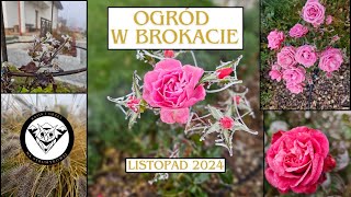 Ogród w brokacie [upl. by Zerep]