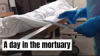 A typical day in the mortuary [upl. by Nuri]