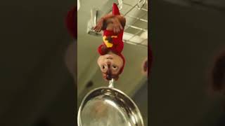 The Chipmunks messing around in the kitchen movierecaps animatedshorts fyp [upl. by Ahsimit429]