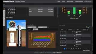 Landmark DecisionSpace® Production Getting Started With Asset Monitoring [upl. by Ailbert769]