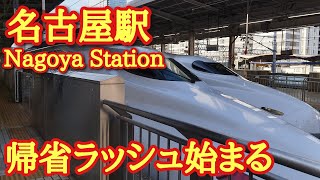 【東海道新幹線 名古屋駅 帰省ラッシュ始まる 状況は】のぞみ号全席指定案内生放送 視聴者様🐱お見送り [upl. by Stempson336]