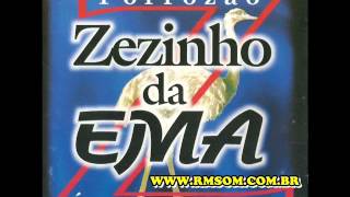 ZEZINHO DA EMA  VENTO DO NORTE [upl. by Alletsyrc470]