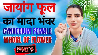 जायांग फूल का मादा भंवर  Gynoecium Female whorl of flower  Part 9  Mujahida Parveen Saifi [upl. by Burnett]