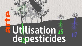 Lagriculture biologique nutilise pas de pesticides  Vrai ou Faux   Data Science vs Fake  ARTE [upl. by Breena]