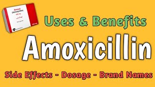 Amoxicillin 💊  Amoxicillin 500mg capsule uses  Benefits of Amoxicillin  Amoxicillin Clavulanate [upl. by Kcinimod]