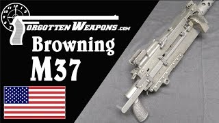 M37 The Ultimate Improved Browning 1919 [upl. by Photima839]