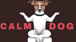 Sound To Calm Dogs Within 5 Minutes  Dog Hypnosis [upl. by Ahsakal671]