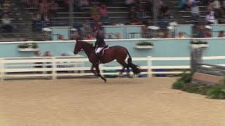 Video of FIG STREETS DUCHESS ridden by DANIEL GEITNER from ShowNet [upl. by Itisahc]