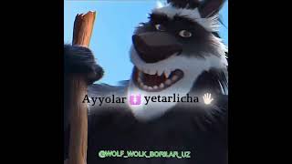 Wolf wolk borilar uz2024yil [upl. by Avictor]