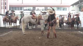 Floreando en la Nacional de Charros [upl. by Nomma386]