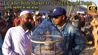 Lalukhet Birds Market 31122023 Karachi Part 2  سوق كبير للطيور النادرة [upl. by Einahpts]