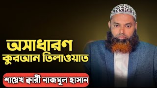 কুরআন তিলাওয়াত। শায়েখ ক্বারী নাজমুল হাসান। Qari Nazmul Hasan [upl. by Alvis]