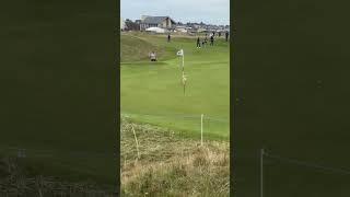 Dog fetches golf ball at Carnoustie Golf Links [upl. by Idnaj]