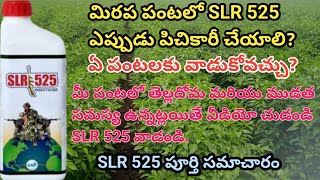 Slr 525 uses in telugu  slr 525 insecticide  slr 525 pesticide  slr 525 full information use [upl. by Vorfeld]