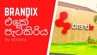 BRANDIX එක පලු අරියි Brandix Latest Situation  Brandix Minuwangoda factory [upl. by Jaquelin]