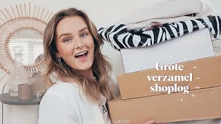 VERZAMEL SHOPLOG Zara sale HampM Comegetfashion en meer 💕 Esmée Geel [upl. by Eiltan]