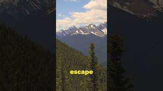 Colorado Extreme Adventures Beaver Creek youtubecreators [upl. by Eilhsa]