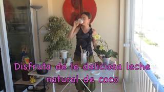 Como hacer LECHE DE COCO con COCO FRESCO  Cocina VEGANA FÁCIL [upl. by Eben]