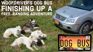 WooFDivers DOG BUS as we Finish Up a FreeRanging OffLeash Adventure [upl. by Leonore100]