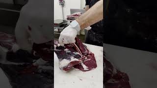 Removing the Deer Femur Bone 🔪🦌 shorts deer venison butcher [upl. by At750]