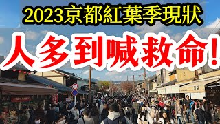 【日本旅遊】人多到崩潰的2023京都紅葉季・2023年秋天日本京都賞楓自由行・嵐山・清水寺・京都景點・楓葉・楓紅・京都現狀・京都旅遊・日本自由行 [upl. by Ahcirt]