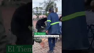 ⏳➡️ oso Chipinque chinpinque oso robo gracioso peligroso viral [upl. by Eiuqnom483]