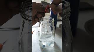 waterlayboy shopblack soltrin sop all mix one zar experiment science chemistry scienceexperim [upl. by Ecinaj]