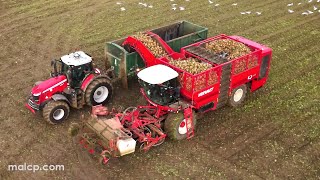 4Kᵁᴴᴰ Harvest 2022 Sugar beet harvesting with Forrest Farms Vervaet Q616 in Mickfield Suffolk [upl. by Erin14]